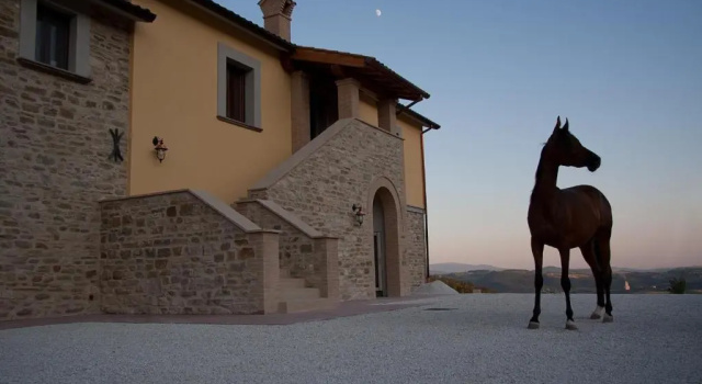 Agriturismo Il Moro