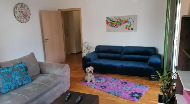 Апартаменты Shumice Apartment