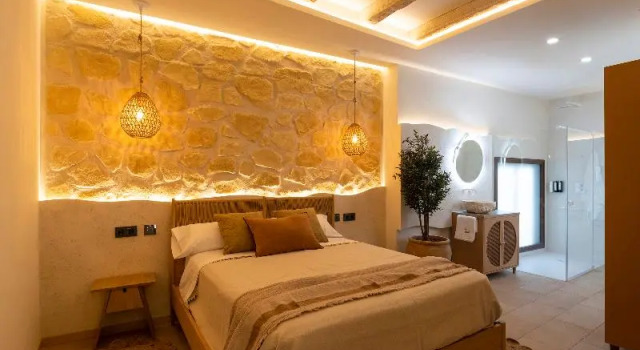 Апартаменты Deluxe с 2 комнатами Palatina Concept Suites