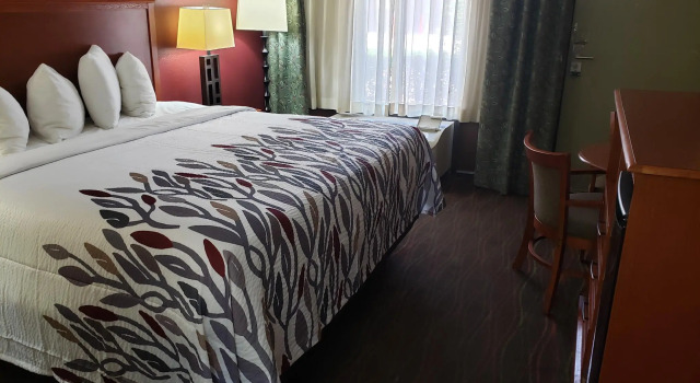 Номер Deluxe Red Roof Inn & Conference Center McKinney