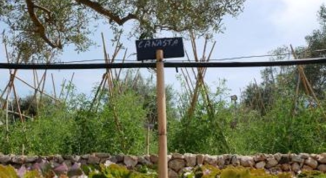 Pantalica Ranch, Buchen Sie Hotel Hotels in Sizilien mit Parkplatz, Parkplätze