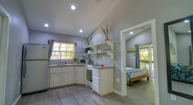 Апартаменты Luxury Placencia Villas