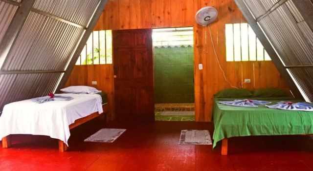 Whitefaced Monkey House