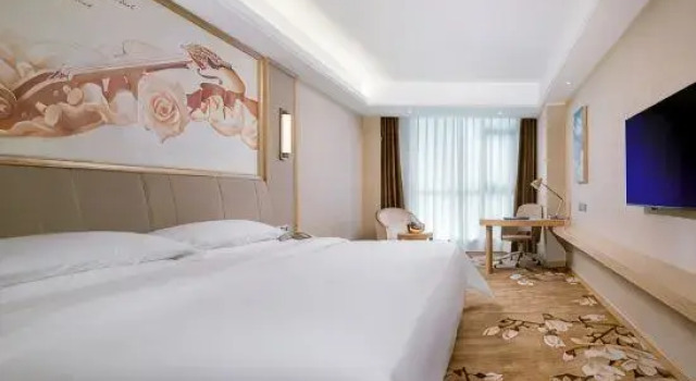 Люкс Business Vienna International Hotel (Baise Leye)