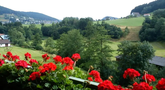 Апартаменты Waldblick