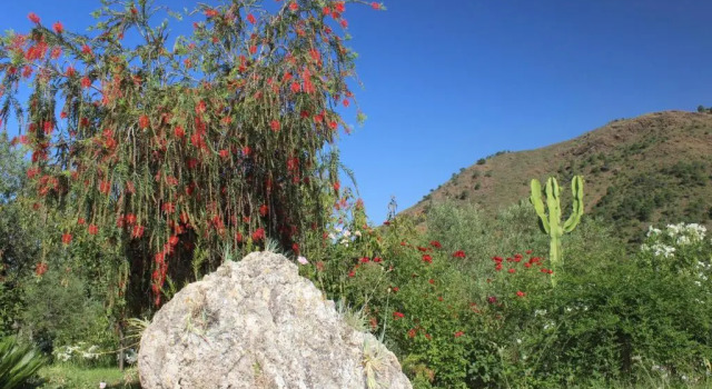 Alojamiento Rural Alfaguara, Забронировать Отель Отели Sierra de las Nieves с парковкой, Парковка