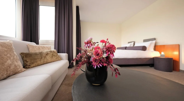 Двухместный номер Deluxe Hotel am Rhein