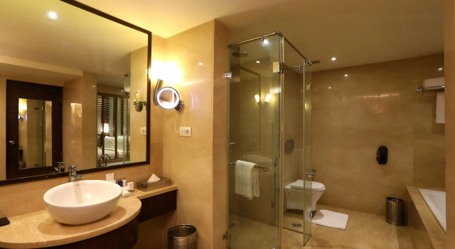 Люкс Radisson Blu Hotel Chennai City Centre