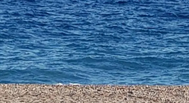 Appartamento I Puritani on the beach, Book Apartment Hotels in Sicily with Parking, Parking