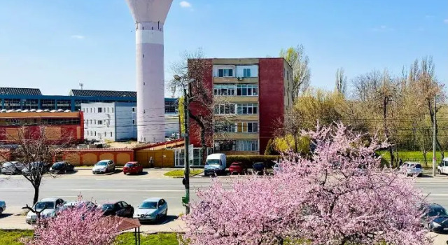 Apartament Isabella, Reserva ahora Apartamento Apartamentos en Arad, Apartamento
