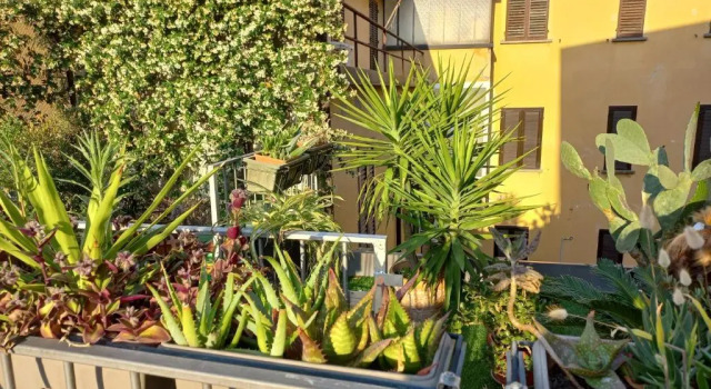 Апартаменты Il Terrazzo di San Colombano