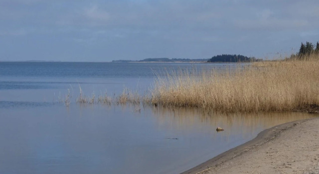 Superb Holiday Home in Hemmet near Sea, Rezerwuj Dom wakacyjny Domki letniskowe w Vestjylland, Domek