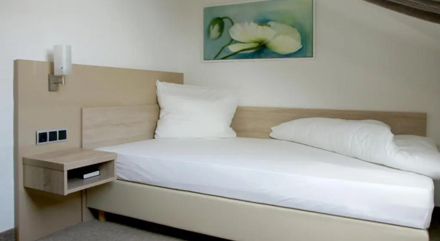 Номер Standard Landgasthof Hotel Rittmayer