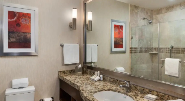 Двухместный номер Hilton Garden Inn Queretaro
