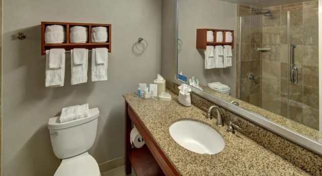 Двухместный номер Deluxe Hampton Inn Miami-Coconut Grove/Coral Gables