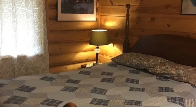 Standard Zimmer Alaska Kozey Cabins