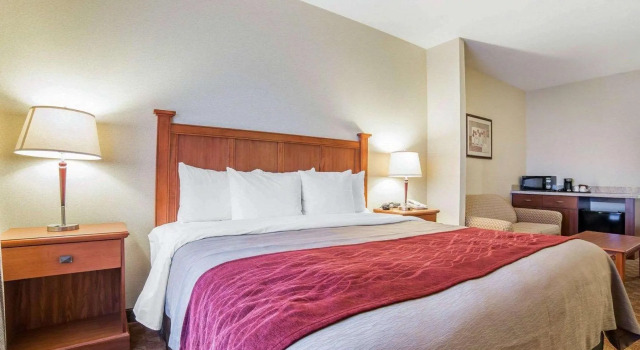 Люкс c 1 комнатой Comfort Inn & Suites Las Vegas - Nellis