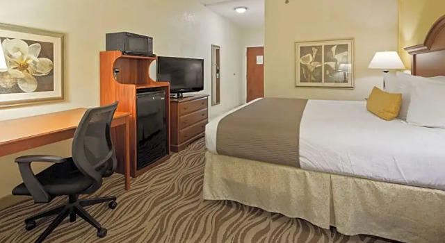 Одноместный номер Standard Best Western Plus Oak Mountain Inn