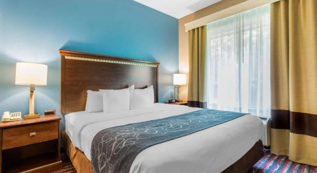 Двухместный номер Business Comfort Suites Fairview Heights Saint Louis