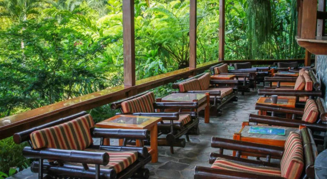 Двухместный номер Standard с красивым видом из окна Aguila de Osa Rainforest & Marine Adventure Lodge