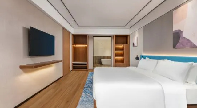 Люкс Hilton Garden Inn Huzhou High-Speed Railway Station