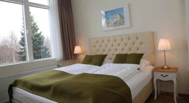 Двухместный номер Standard Hotel Kjarnalundur- Aurora Dream - Lodges and Rooms