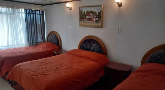 Трёхместный номер Executive Puruha Inn
