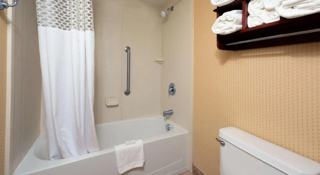Двухместный люкс c 1 комнатой Hampton Inn Raleigh/Town of Wake Forest