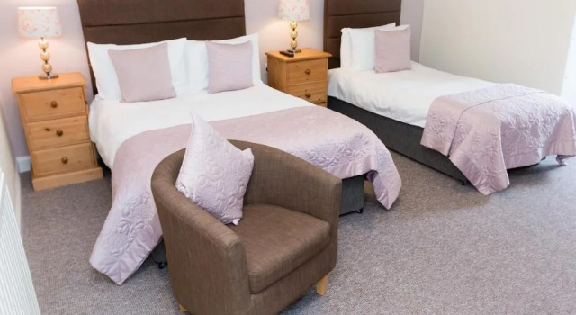 Standard cameră The Elm House Hotel