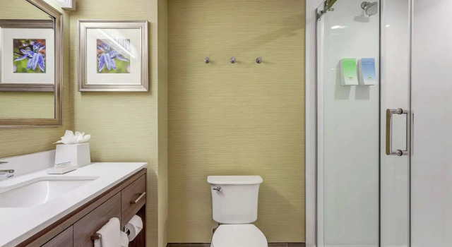 Двухместный люкс Home2 Suites By Hilton Toronto/Brampton, On