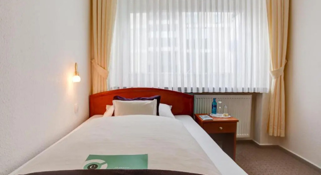 Одноместный номер Standard Hotel Consul