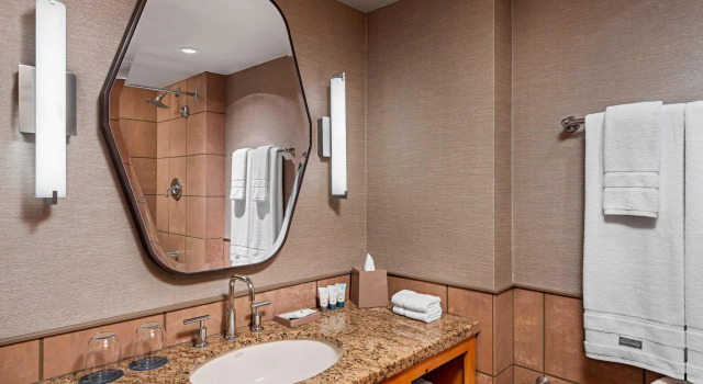 Двухместный номер Standard с видом на окрестности The Westin Resort & Spa, Whistler