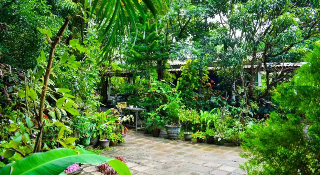 Номер Standard Sigiri Rock Side Home Stay