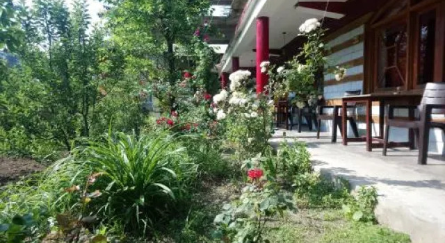 Splendour Manali