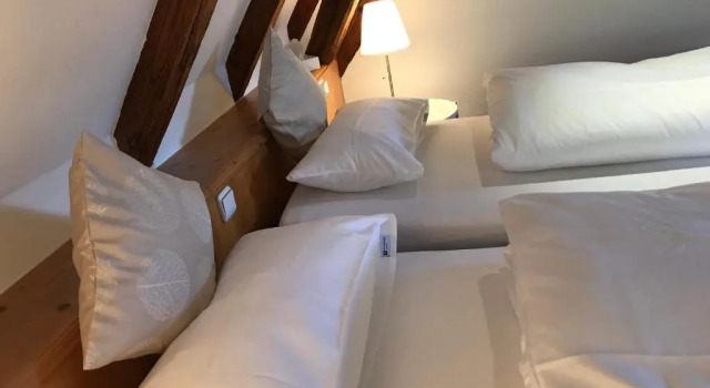 Апартаменты c 1 комнатой Hotel Hohe Schule