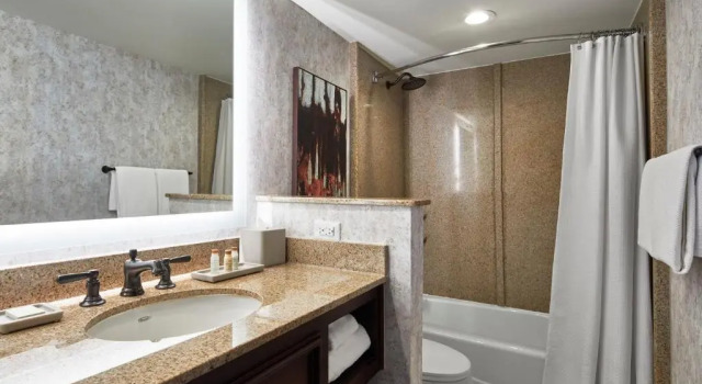 Двухместный клубный номер Standard Renaissance Mobile Riverview Plaza Hotel