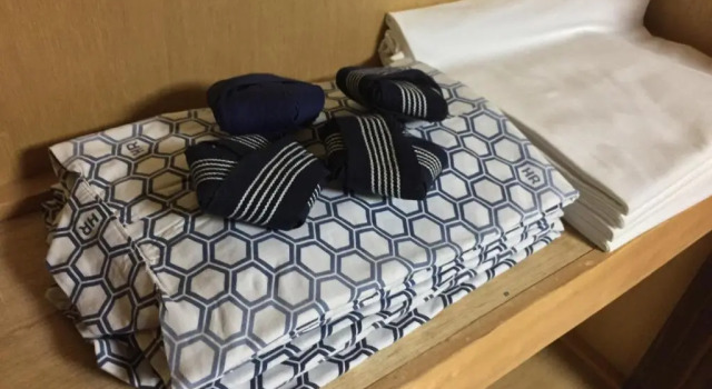 Номер Standard Plaza Inn Kawaguchiko