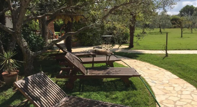 Апартаменты Appartment Hacienda Monica
