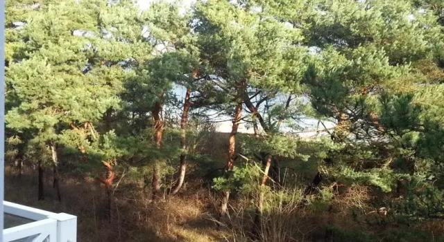 Meerblick Heringsdorf, Book Apartment Heringsdorf Usedom