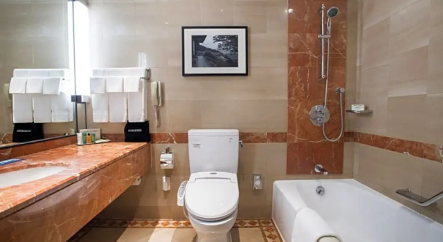 Двухместный номер Deluxe с видом на горы Millennium Hilton Seoul