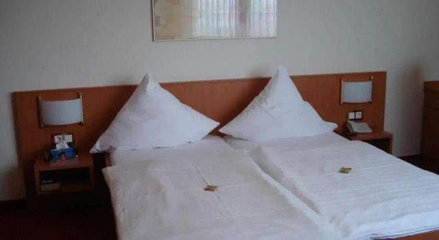 Panorama Hotel am Frankenstein, Book Hotel Hotels in Thuringian Forest with Parking, Parking