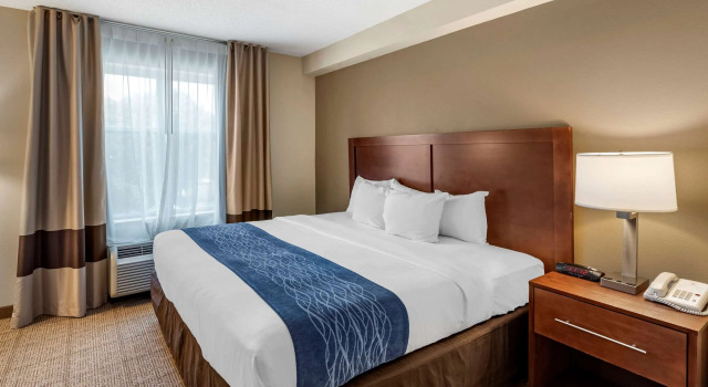 Двухместный люкс Comfort Inn & Suites Virginia Beach - Norfolk Airport