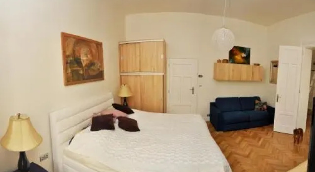 Luxury Apartment Novobranska