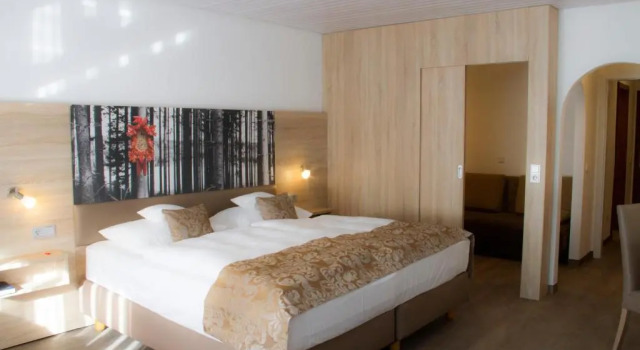 Двухместный номер Comfort Best Western Plus Schwarzwald Residenz