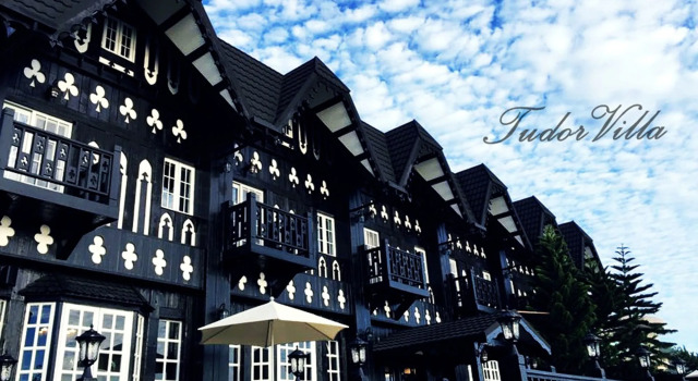 Tudor Dynasty