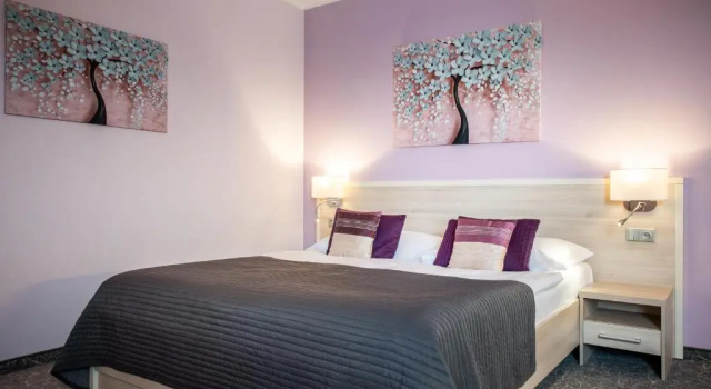 Двухместный номер Comfort Hotel Mlynska