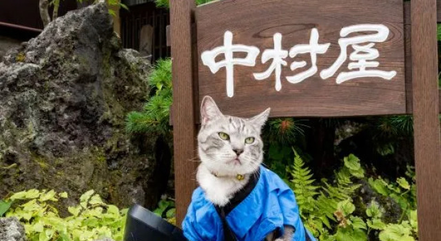 Kusatsu Onsen Nakamuraya Ryokan (Gunma), Забронировать Отель Отели Кусацу с парковкой, рядом с Лыжный курорт Кусацу Онсэн, Парковка