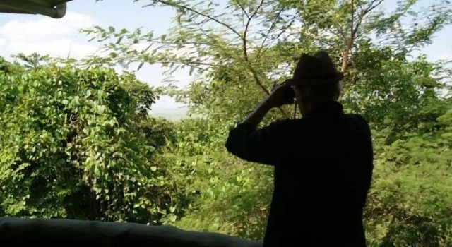 Трёхместный номер Standard с балконом Udzungwa falls lodge