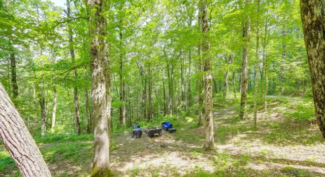 Secluded Mountain Escape w/ Game Room & Fire Pit!, Buchen Sie Hotel Dunn USA