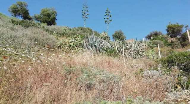 A casa di Chiara e Marina